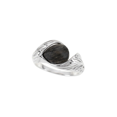 Bague en argent et Chêne des marais (dagen)