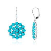 Boucles d'oreilles en argent et Turquoise Sleeping Beauty