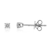 Boucles d'oreilles en or et Diamant I1 (H) (CIRARI)