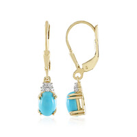 Boucles d'oreilles en argent et Turquoise Sleeping Beauty