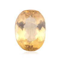  Béryl doré 6,31 ct (gemme et boîte de collection)