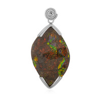 Pendentif en argent et Ammolite