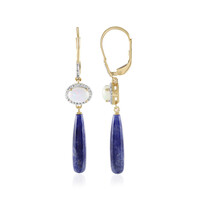 Boucles d'oreilles en argent et Sodalite