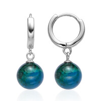 Boucles d'oreilles en argent et Chrysocolle