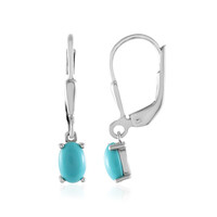 Boucles d'oreilles en argent et Turquoise Sleeping Beauty