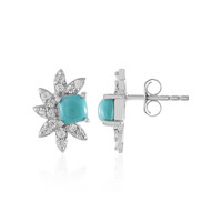 Boucles d'oreilles en argent et Turquoise Sleeping Beauty