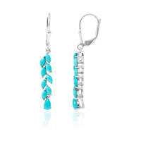 Boucles d'oreilles en argent et Turquoise Sleeping Beauty