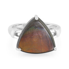 Bague en argent et Ammolite