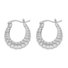 Boucles d'oreilles en argent