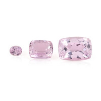  Kunzite 7,65 ct (gemme et boîte de collection)