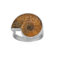 Bague en argent et Ammonite