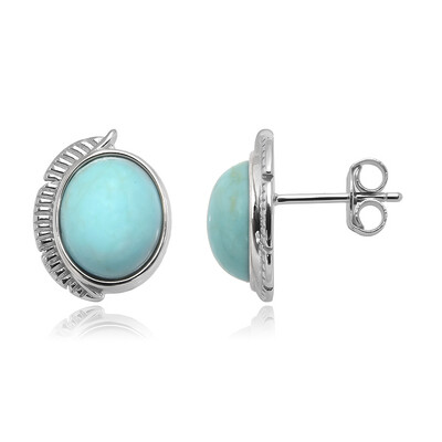 Boucles d'oreilles en argent et Turquoise