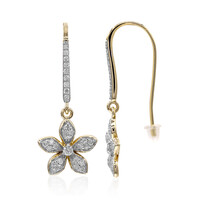 Boucles d'oreilles en or et Diamant SI1 (G)