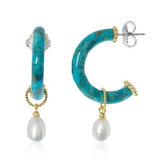 Boucles d'oreilles en argent et Turquoise bleue de Mohavie (Dallas Prince Designs)