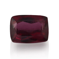  Rubellite 1,085 ct (gemme et boîte de collection)