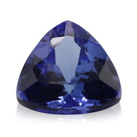  Tanzanite AAA 1,15 ct (gemme et boîte de collection)