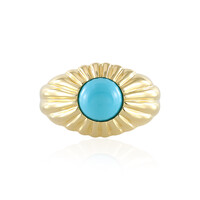 Bague en argent et Turquoise Sleeping Beauty