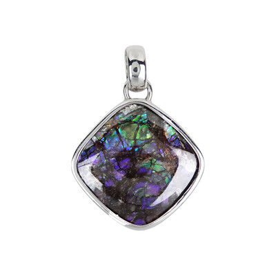 Pendentif en argent et Ammolite