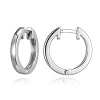 Boucles d'oreilles en argent