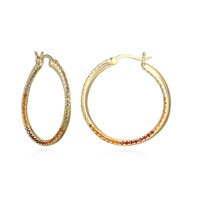 Boucles d'oreilles en argent et Citrine