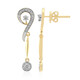 Boucles d'oreilles en or et Diamant SI1 (G) (Annette)