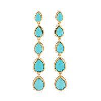 Boucles d'oreilles en argent et Turquoise Sleeping Beauty (de Melo)