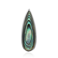 Pendentif en argent et Coquillage d'Abalone