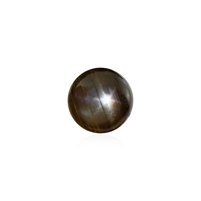 Gemme et Saphir étoilé noir 0,495 ct