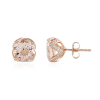 Boucles d'oreilles en or et Morganite pêche AAA (de Melo)