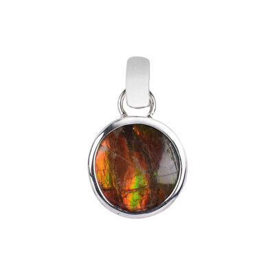 Pendentif en argent et Ammolite