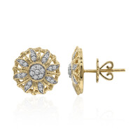 Boucles d'oreilles en or et Diamant SI1 (G)