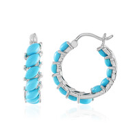 Boucles d'oreilles en argent et Turquoise Sleeping Beauty