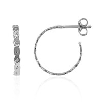 Boucles d'oreilles en argent