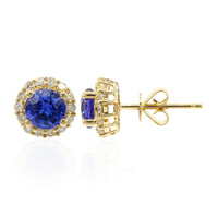 Boucles d'oreilles en or et Tanzanite AAA (CIRARI)