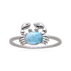 Bague en argent et Larimar