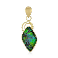 Pendentif en argent et Ammolite