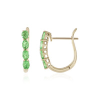 Boucles d'oreilles en or et Grenat Tsavorite