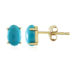 Boucles d'oreilles en or et Turquoise Sleeping Beauty