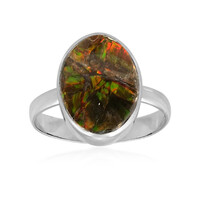 Bague en argent et Ammolite