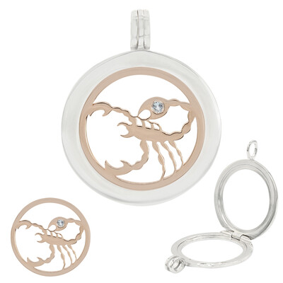 Pendentif en argent et Aigue-marine Zodiaque scorpion