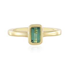 Bague en argent et Tourmaline verte de Benedito(Adela Silber)