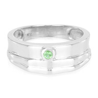 Bague pour homme en argent et Grenat Tsavorite