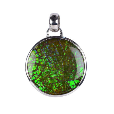 Pendentif en argent et Ammolite