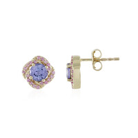 Boucles d'oreilles en or et Tanzanite