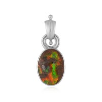 Pendentif en argent et Ammolite