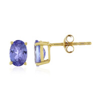 Boucles d'oreilles en or et Tanzanite