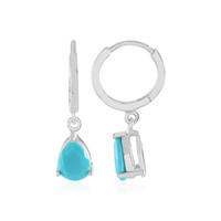 Boucles d'oreilles en argent et Turquoise