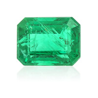  Emeraude de Zambie 1,39 ct (gemme et boîte de collection)