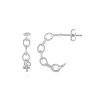 Boucles d'oreilles en argent