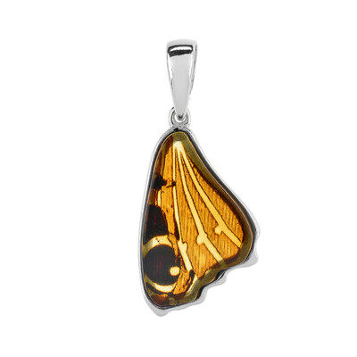 Pendentif en argent et Ambre baltique (dagen)